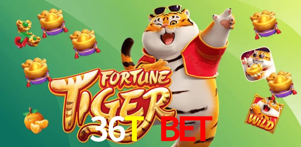 Experiência VIP 36T BET